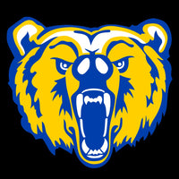 FOOTBALL TRAINING SET- ANTIOCH BEARS with BAG