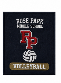 Volleyball Team Set