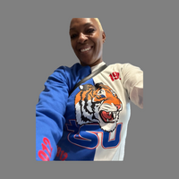 Color Block Tiger sweatshirt