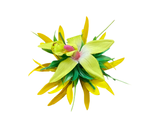 Maui Hair flower